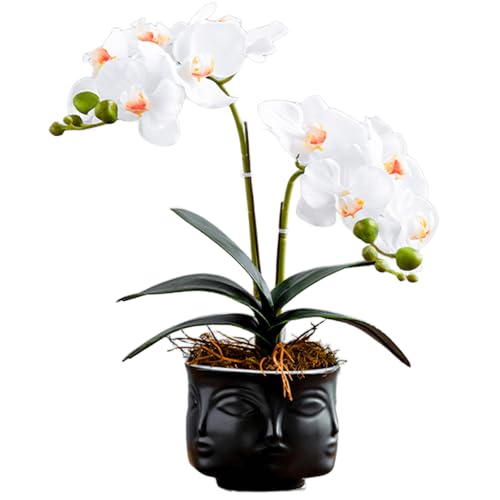 Image of SYDDOL White Artificial Orchid Flowers Bonsai 35cm Fake Phalaenopsis Flower Arrangement Real Touch Moisturizing Artificial Orchid Flowers in Black Ceramic Zen Pot for Centerpiece Home Room Decor