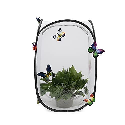Hyindoor Insekt Und Schmetterling Habitat Käfig Terrarium Schutz Käfig Schwarz
