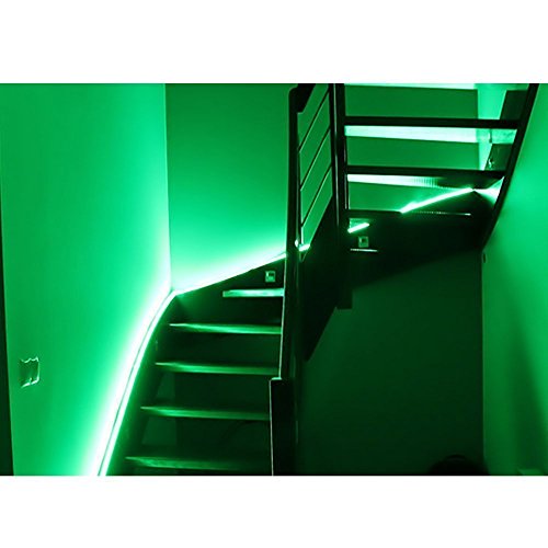 Foxdam Flexible Led Strip Lights,300 Units Smd 5050 Leds,Led Strips,Waterproof,12 Volt Led Light Strips, Pack Of 16.4Ft/5M,For Holiday/Home/Party/Indoor/Outdoor Decoration(Green) #TOP2