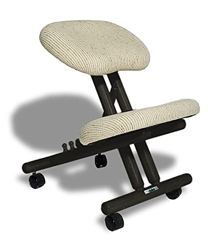 cinius Silla ergonómica Profesional Color Negro/Crema sin Respaldo Cover