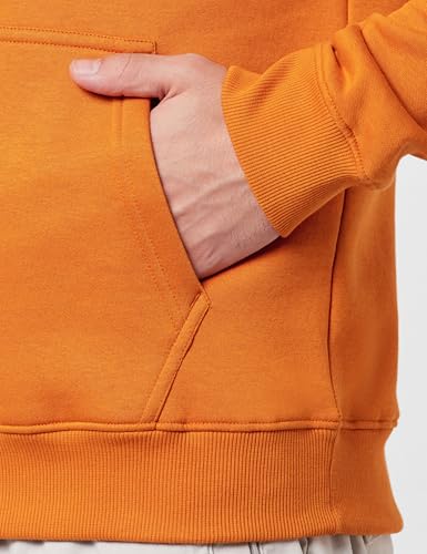 Image of Wildcraft Sierra Men Sweat Shirt Basic2 Hooded