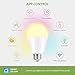NOVOSTELLA 13W 1300LM Smart LED Light Bulbs, WiFi RGBCW 2700K-6500K Dimmable Multicolor Bulb, A19 E26, 120W Equivalent Color Changing Bulb, No Hub Required, Compatible with Alexa 1Pcs
