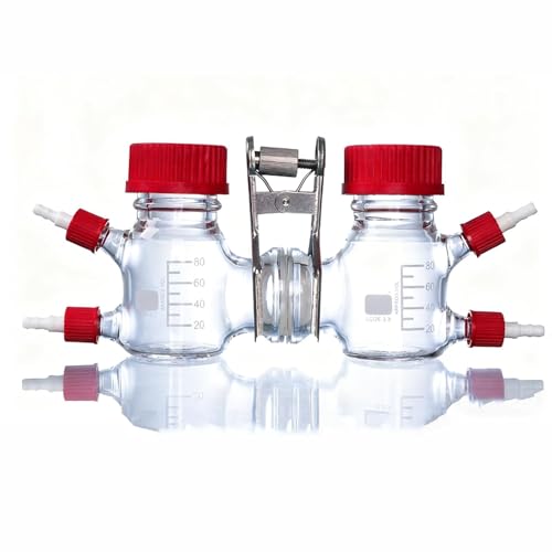 RKXKJ Electrochemical Reaction Chamber, H-Type Dual-Cell High Borosilicate Glass Reactor, with Proton Exchange Membrane & Tower Port, for Lab Fluid Experiments, 100ml