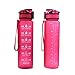 Great Gear Fruit Infuser Water Bottle 25 oz Leak Proof Flip-top Sport Water Bottle BPA-Free Tritan 25 Oz (Pink)