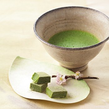 Lloyds raw chocolate tea