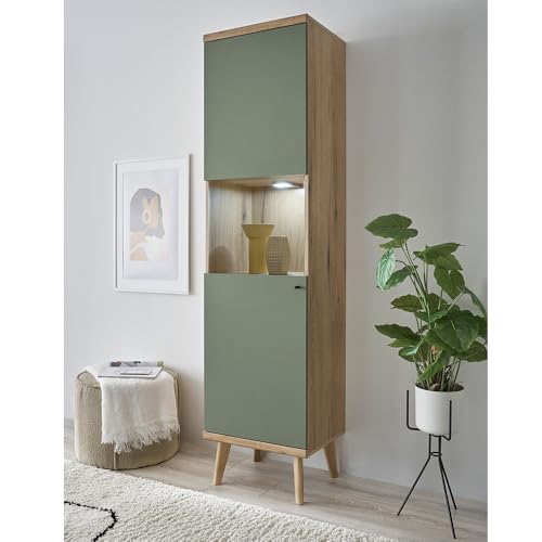 Lomadox Wohnwand Anbauwand in Eiche mit grün Modern 5-teilig, inkl. Couchtisch, Standvitrine, TV-Lowboard, Wandregal, Highboard und Beleuchtung – Bild 5