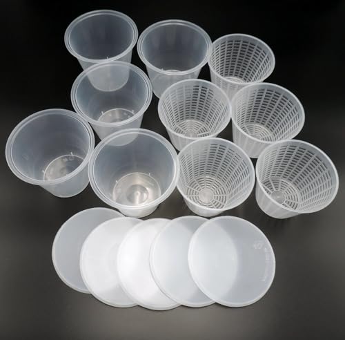 Produrre Formaggio Artigianale Fatto in Casa Con Facilità: Set DI 5 Fuscelle, Forme Da 250 Grammi + 5 Contenitori Con 5 Coperchi