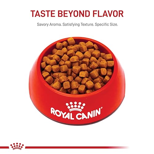 Royal Canin Maine Coon Breed Dry Kitten Food, 3 lb bag