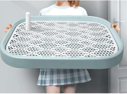 pgC gCg q^L tAی pbhz_[ bVg[jOgC g[jOpbhgC pgCg[ ȒP ybggC ې􂢉\ ͂t Obh TCY ()