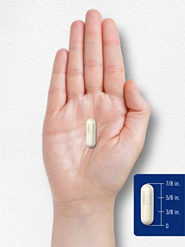 Carlyle Bone Support Supplement | 120 Capsules | Calcium Complex Vitamin | Non-Gmo & Gluten Free Formula #TOP6