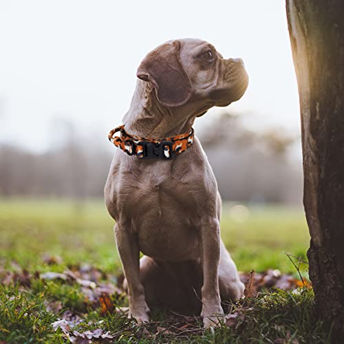 Cbbpet Tactical Dog Collar - Military Dog Collar,Adjustable Nylon Dog Collar Heavy Duty Metal Buckle With Handle For Dog Training,Heavy Duty Collar With Metal Buckle For M,L Dogs #TOP1