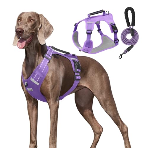 UNA MASCOTA Pechera Arnés De Seguridad para Perro Chico Mediano Y Grande con Correa 1.5m (Morado, L)