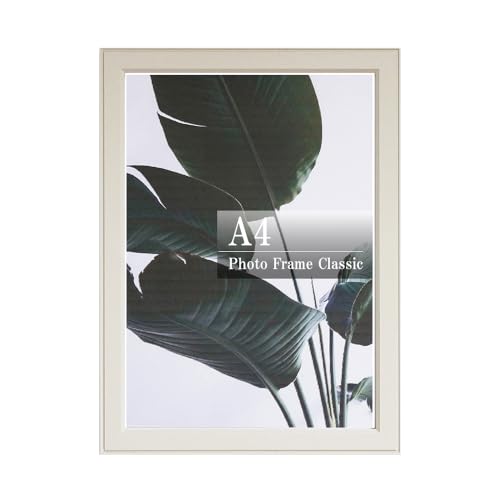 ǂȂ tHgt[ A4 Ǌ|  킢  ʐ^ `V CXg NAt@C tC[ ܏ F菑 Г  [ fBXvC  傫 v[g wallit