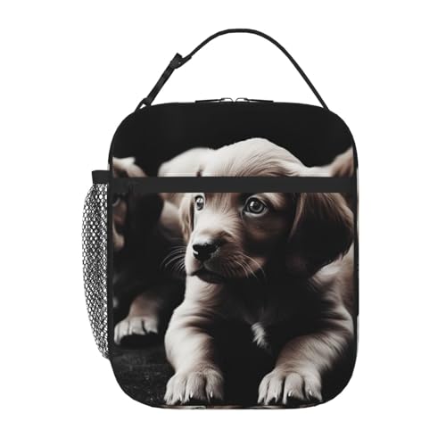 BNVSADC 킢q vg fM`obO g[gobO fB[X Y |[^u ėp\ `N[[obO nht ItBX wZ sNjbN r[`p