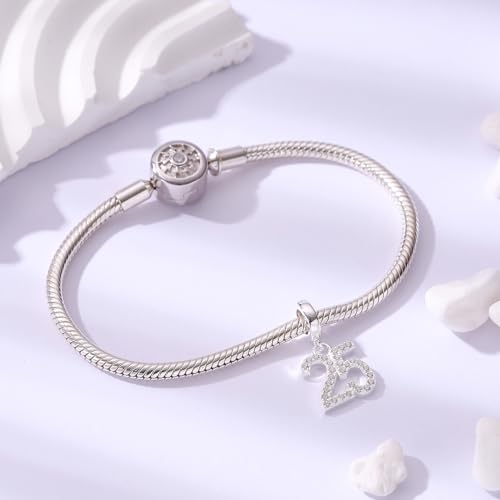 15,16,18,20,25,30,40,50,60 Number Charms Shiny Crystal Birthday Anniversary Celebration Charm fit Pandora Bracelets,Gifts for Wife Daughter Lover Friends…3