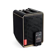 65-Watts of full, dynamic sound powered by Sonic IQ technology packed into one portable, compact unit. Features 2 1/4"/XLR combo inputs and a pair of stereo inputs for a total of 4 separate channels for electric or acoustic guitar, bass, keyboards, v...