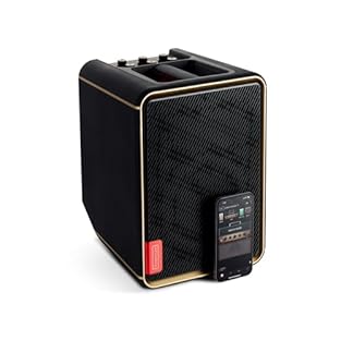 65-Watts of full, dynamic sound powered by Sonic IQ technology packed into one portable, compact unit. Features 2 1/4"/XLR combo inputs and a pair of stereo inputs for a total of 4 separate channels for electric or acoustic guitar, bass, keyboards, v...