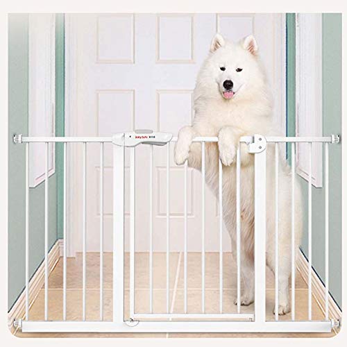 Porte d'escalier pour chien et chat pour bloquer l'accès sans trouer le mur