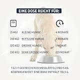 PetFokus Agility Complete | für gelenkempfindliche Hunde - natürliche Nahrungsergänzung - 11 wertvolle Inhaltsstoffe inkl. Grünlippmuschel, MSM, Teufelskralle - Pulver - in Deutschland produziert