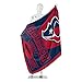 Northwest NFL Houston Texans Unisex-Adult Fleece Throw Blanket, 50