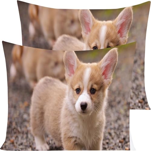 Housse de couette 200x200 Corgi avec parure de lit 3 pièces