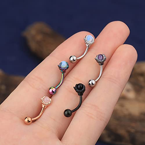 Oufer Rook Earrings Dragon Claw Eyebrow Rings 316L Surgical Steel 16G Curved Barbell Rook Daith Piercing Jewelry #TOP4