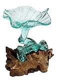 Geschenkidee Einzigartige Deko Gamal Wurzelholz Snackschale von Bali Teakholz Teak Holz Glas