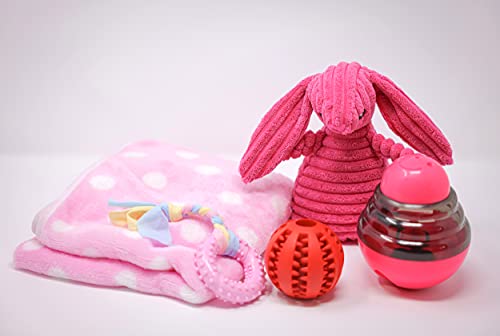SoSoCute Pinke Hunde-Geschenkbox – Kauspielzeug für Welpen, Set mit 5 Stück – Welpenpflege-Paket mit Hundedecke, Gummi-Beißring, Ball zum Beißen und Leckerli-Ball für kleine und mittelgroße Hunde