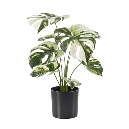 Blooming Artificial - Artificial Plant Indoors in Pot, Monstera Albo, Year Round Decorative Foliage for the House and Office, Trendy and Tropical (Variegated) (40cm)
