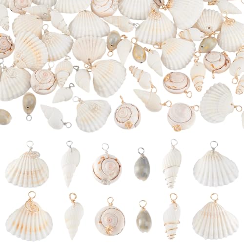 PH PandaHall 72pcs 12 Styles Natural Shell Pendants White Scallop Spiral Cowrie Shell Pendants Natural Seashells Charms Jewelry Charms for Jewelry Making Home Decor Wedding Summer Ocean Beach Party