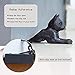 Earl Diamond Heavy Duty Cast Iron Cute Cat Door Stops | Decorative Cute Animal Statue Metal Door Stopper Wedge, with Non-Slip Mat for Home Office Commercial