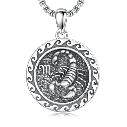 enjoylifecreative Collier 12 signes du zodiaque pour homme et femme en argent sterling 925 avec pendentif constellation horoscope chaîne anniversaire...