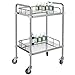 Produktbild VEVOR Servierwagen Edelstahl Serving Lab Trolley 2 Böden Laborwagen Tragbar Abräumwagen Medical Dental Lab Cart Transportwagen Rollwagen Medizinisch Universalräder Zwei Fußbremsen Breite Anwendung