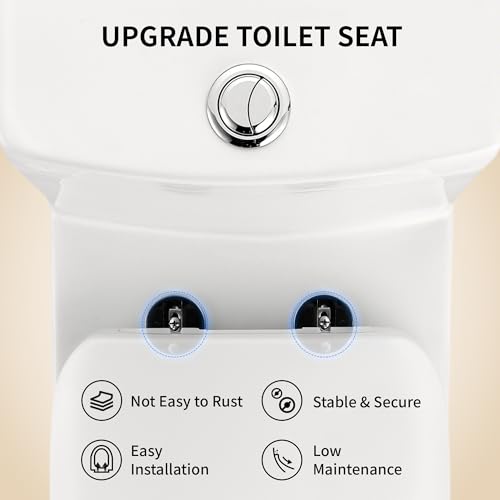 Image of DeerValley Elongated One Piece Toilet with Efficient Dual Flush 1.1 /1.6 GPF