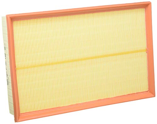 MANN-FILTER C 30 189 Filtro Aria - per Auto