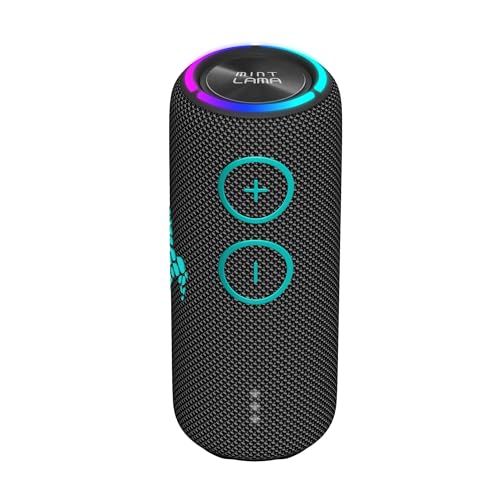 Haut-parleur Bluetooth LamaBeat2 étanche IPX7 anti-panne de batterie avec carte SD