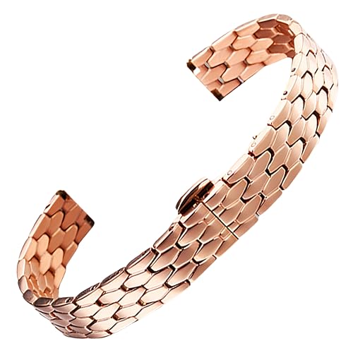 Bracelet montre 316L de qualité supérieure pour FIYTA DL21006