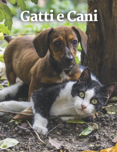 Gatti e Cani: Libro fotografico di gatti e cani per anziani, bambini, Alzheimer con demenza, (libro di immagini).