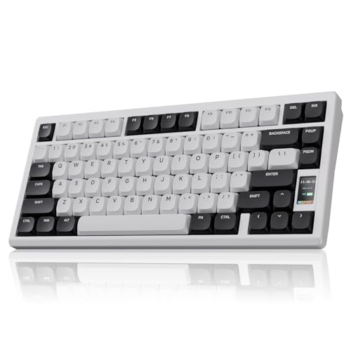 Image of Chilkey ND75 LP Low Profile Aluminum Mechanical Keyboard, 75 Percent Wireless Gaming Keyboard w /Screen, Tri-Mode, Quick Disassembly, RGB Backlit Key Board for Laptop Office PC (White)