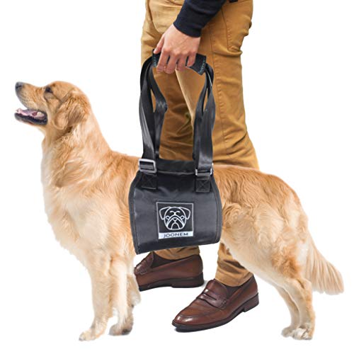 Joonem Dog Lift Support Harness I Rear Leg Lift Harness for Leg