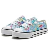 Weestep Toddler Little Kid Boys and Girls Classic Cotton Slip On Sneakers(13 Little Kid, Tie Dye)