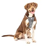 Kurgo Tru-Fit Harnais de sécurité pour voiture pour chiens, Avec plastron rembourré et anneau en D, Avec ceinture de sécurité pour voiture, Taille M, Anthracite