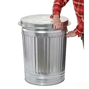 31 Gallon Galvanized Steel Trash Can with Lid