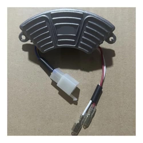Regulador de voltaje de generador 4000W para proteger herramientas 2