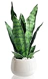 DUZYXI Artificial Snake Plant 15" with White Ceramic Pot Sansevieria Plant Fake Snake Plant Greenery