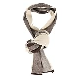 HEALEEP 1 Stück Wollschal für Herren Karierter Warm Winter Schal Atmungsaktivem Material für Formelle und Anlässe Modischer und Langlebiger