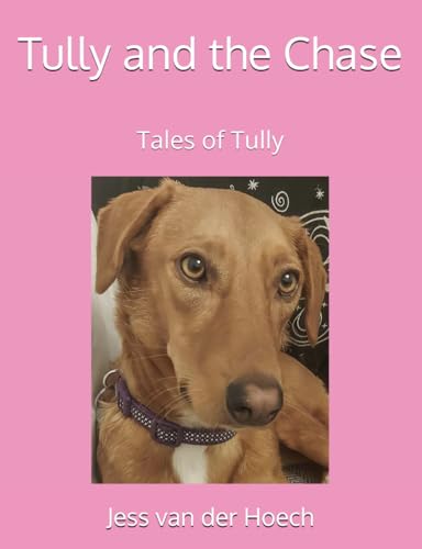 Tully and the Chase (Tales of Tully)