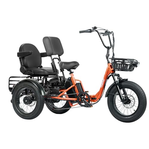 TINIOVER Creek Folding Electric Tricycle for Adults, Etrike with Passenger