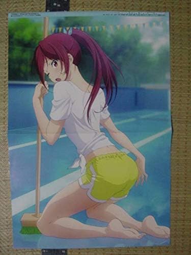 Amazon Free Eternal Summer松岡江 健全ロボ ダイミダラー楚南恭子 喜友名霧子 リカンツシーベリー 両面ピンナップポスター アニメ 萌えグッズ 通販