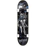 Tony Hawk Komplett Skateboard SS 540